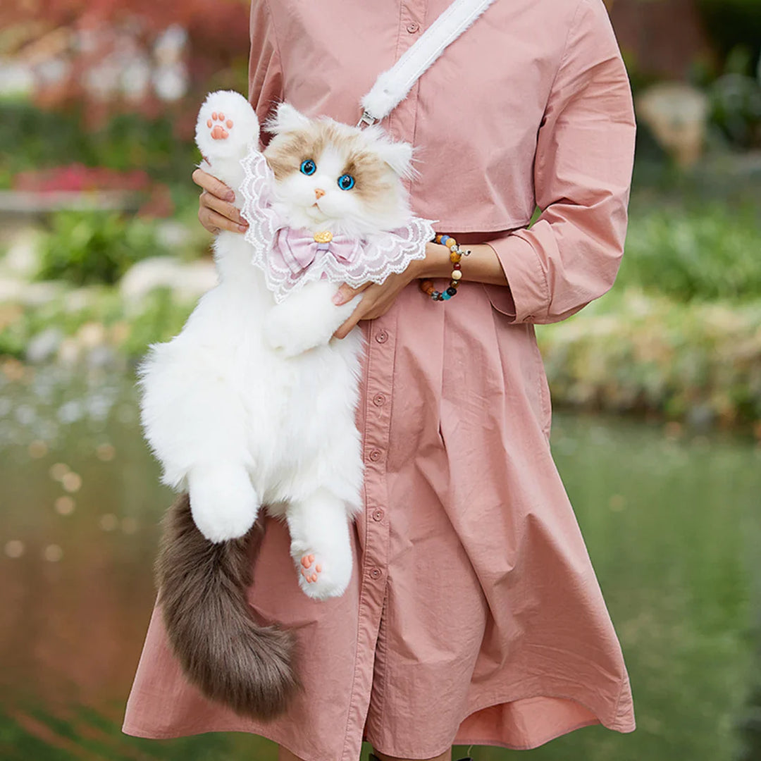 Feline Fashion Pack