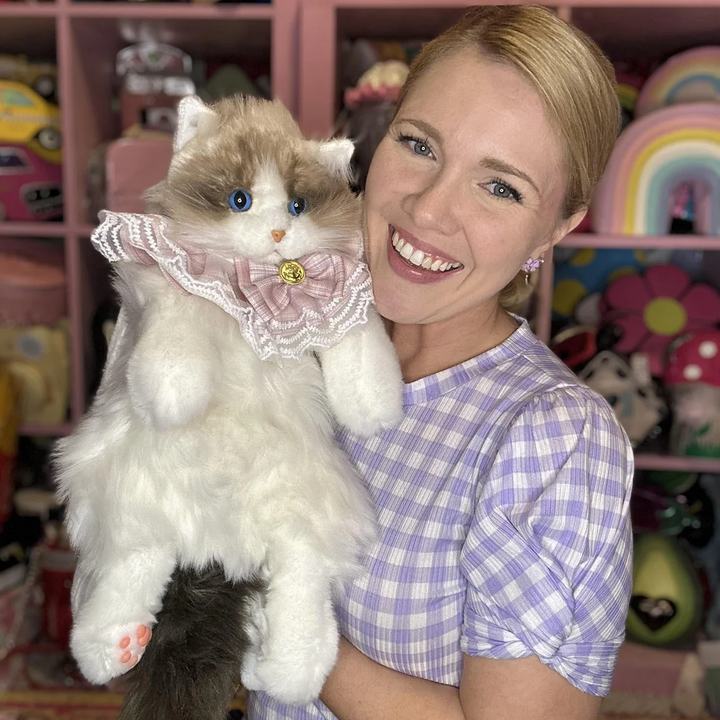 Feline Fashion Pack
