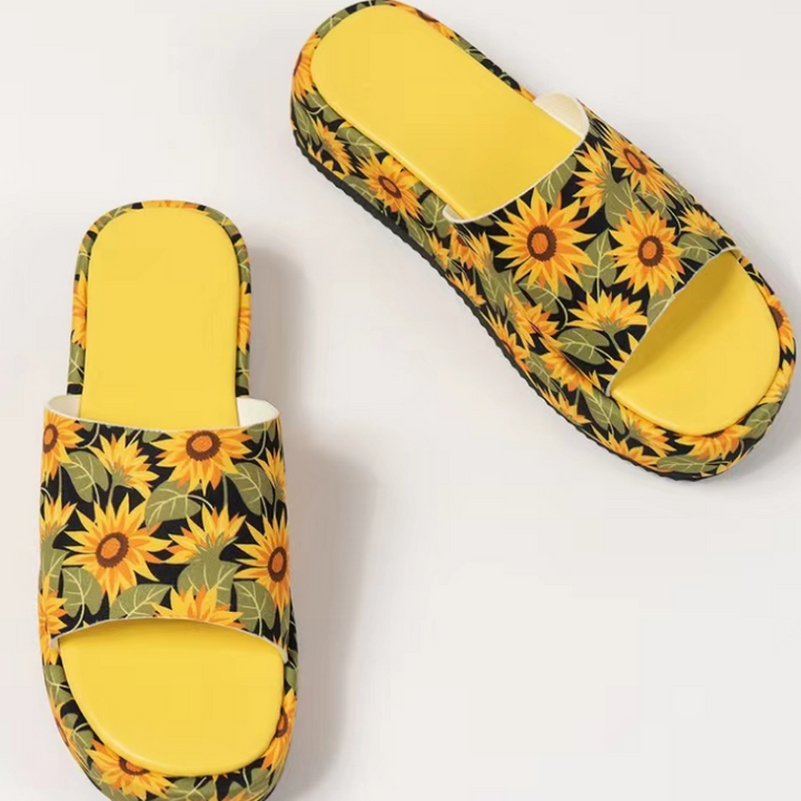 Isla Platform Slides